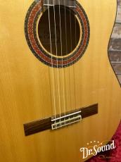 パコ・カスティージョ　Paco Castillo Model:213F　【スペシャル動画あり】_3