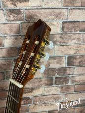 パコ・カスティージョ　Paco Castillo Model:213F　【スペシャル動画あり】_6