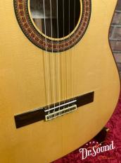 パコ・カスティージョ　Paco Castillo Model:215FR　【スペシャル動画あり】_3