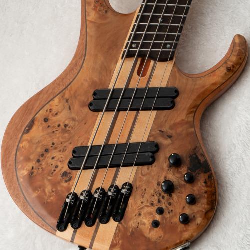 Ibanez BTB805MS -Florid Natural Low Gloss / FNL- #260204473 [4.39kg]