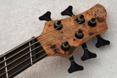 Ibanez BTB805MS -Florid Natural Low Gloss / FNL- #260204473 [4.39kg]_8