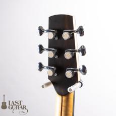 Iwaneko Guitars Type-Vibrato OC_9