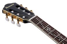 Ibanez TOD20FMN -BFL (Black Burst Fade Low Gloss)-【ローン金利0%】【オンラインストア限定】_7