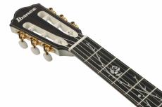 Ibanez TOD100FMN -TMM (Toasted Marshmallow Matte)- 【ローン金利0%】【オンラインストア限定】_8