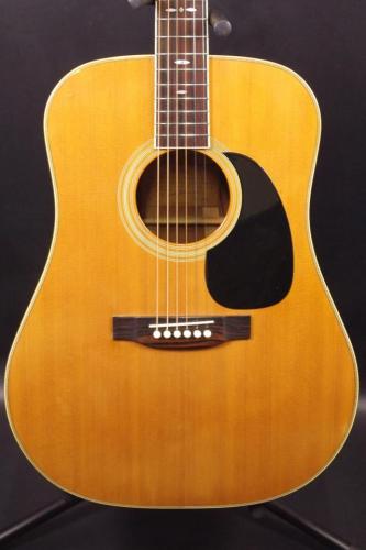 Cat's Eyes CE-800
