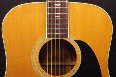 Cat's Eyes CE-800_8