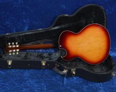 Archtop Tribute AT105M_4