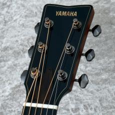YAMAHA FG9 M 《HandCrafted in Japan》【2023 Oct】_3