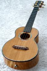 G String ABF-T4 '01 【現物動画あり】【USED】【P.U付】【Tenor】【買取・下取強化中!】_2