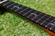 aNueNue BlackWhale E Tenor【KYAS MODEL】_8