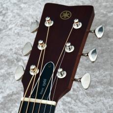 YAMAHA FSX5 Gloss -VIntage Natural- [Red Label] (Made in Japan)【2022年製】_3