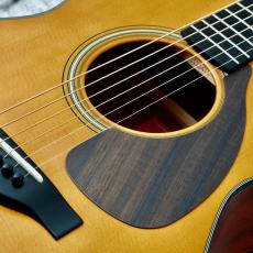 YAMAHA FSX5 Gloss -VIntage Natural- [Red Label] (Made in Japan)【2022年製】_5