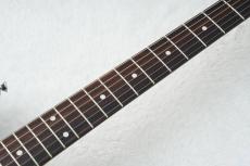 Vanzandt STV-R2 -Lake Placid Blue / LPB- #10489【旧定価】_8