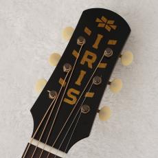 IRIS GUITAR COMPANY 【スペシャルプライス!】 The DF Model Relic 【現物動画あり】【48回無金利】【買取・下取強化中!】_3
