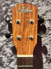 Argus AC-7 【コンサート】【アカシアコア総単板】_3