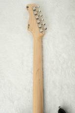FREEDOM CUSTOM GUITAR RESEARCH Custom Order RS ST SSS Alder -3 Tone Sunburst- #1929L_9