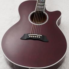 Takamine 【チョイ傷特価!】FPT181AC WR 【48回無金利】【アーチトップ】【エレアコ】