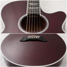 Takamine 【チョイ傷特価!】FPT181AC WR 【48回無金利】【アーチトップ】【エレアコ】_7