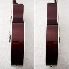 Takamine 【チョイ傷特価!】FPT181AC WR 【48回無金利】【アーチトップ】【エレアコ】_10