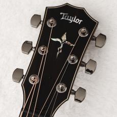Taylor 【アウトレット特価!】 814ce Special Edition Sapphire 【限定モデル】【現物動画あり】_3