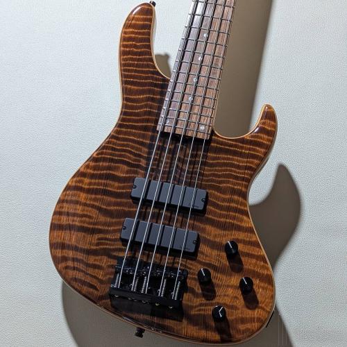 Sadowsky Metroline 24-Fret Modern Bass 5st Special Edition "ML24 MS5 SE" -Curly Sinker Redwood- 【3.75kg】