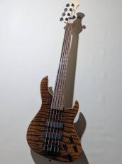 Sadowsky Metroline 24-Fret Modern Bass 5st Special Edition "ML24 MS5 SE" -Curly Sinker Redwood- 【3.75kg】_2