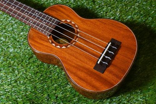 DCT DUS-600M Soprano