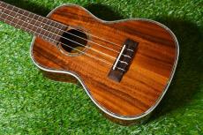 DCT DUC-150K Concert