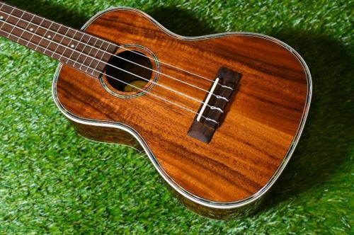 DCT DUC-150K Concert