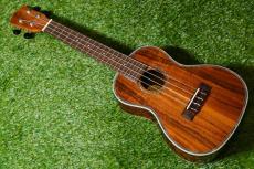 DCT DUC-150K Concert_2