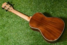 DCT DUC-150K Concert_4