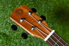 DCT DUC-150K Concert_5