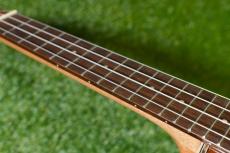 DCT DUC-150K Concert_7