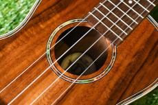 DCT DUC-150K Concert_11