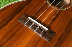 DCT DUC-150K Concert_12