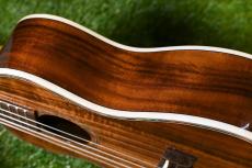 DCT DUC-150K Concert_15