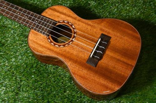 DCT DUC-600M Concert