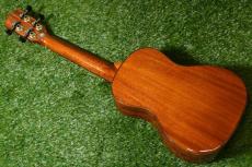 DCT DUC-600M Concert_4