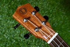 DCT DUC-600M Concert_5