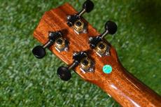 DCT DUC-600M Concert_6