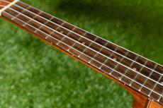 DCT DUC-600M Concert_7