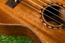 DCT DUC-600M Concert_10