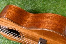 DCT DUC-600M Concert_15