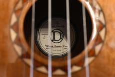 DCT DUC-600M Concert_16