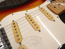 Squier by Fender 1983 CST-55 JV Serial_15
