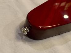 Edwards E-FV-LTD Cherry_6