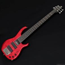 Modulus Quantum 6 Q6 (1991)_2