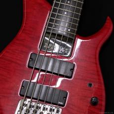 Modulus Quantum 6 Q6 (1991)_4