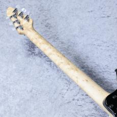 PEAVEY HP2 「Moon Burst」 「生産完了モデル」 「現物写真」良杢個体!_7