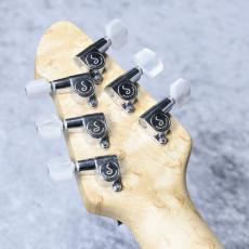 PEAVEY HP2 「Moon Burst」 「生産完了モデル」 「現物写真」良杢個体!_9